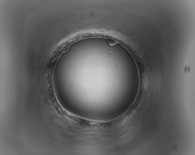 X0000112491494200908241313