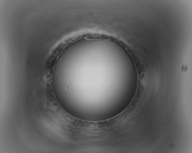 X0000112491495200908241313