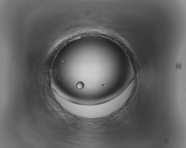 X0000112491496200908241313