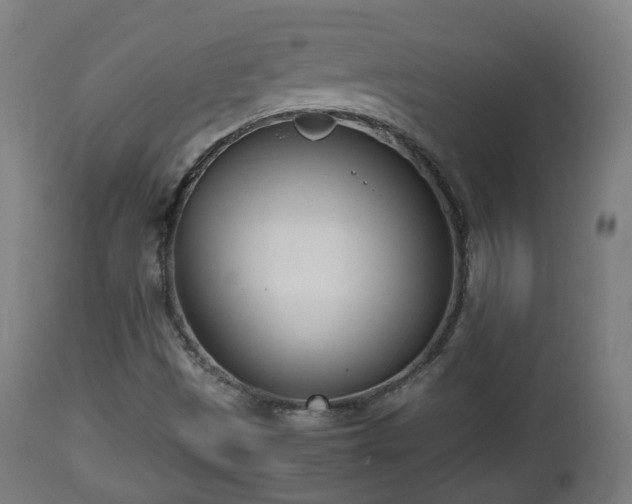 X0000112491497200908241313