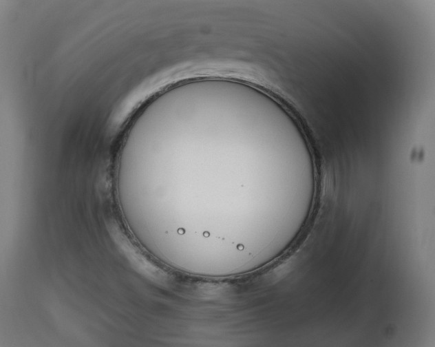 X0000112491498200908241313