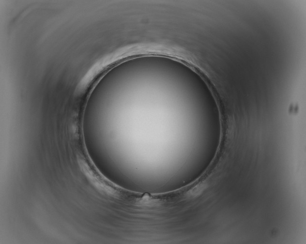 X0000112491499200908241313