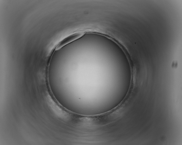 X0000112491500200908241313