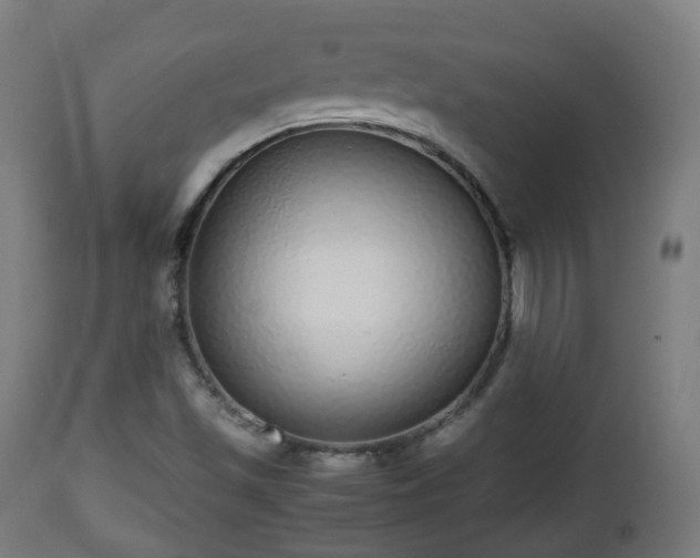 X0000112491501200908241313
