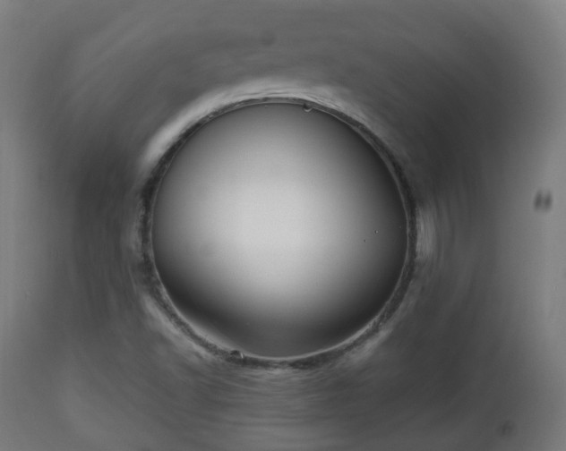 X0000112491502200908241313