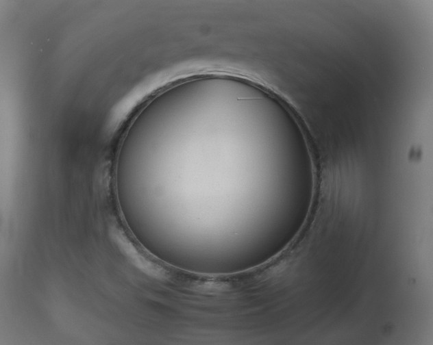 X0000112491503200908241313