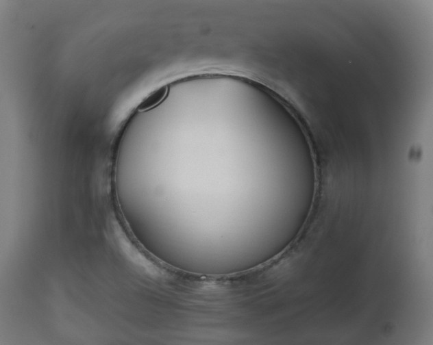 X0000112491504200908241313