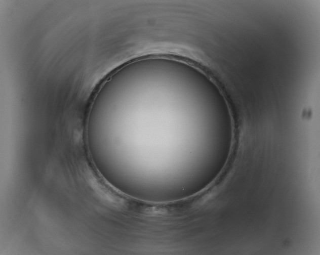 X0000112491505200908241313