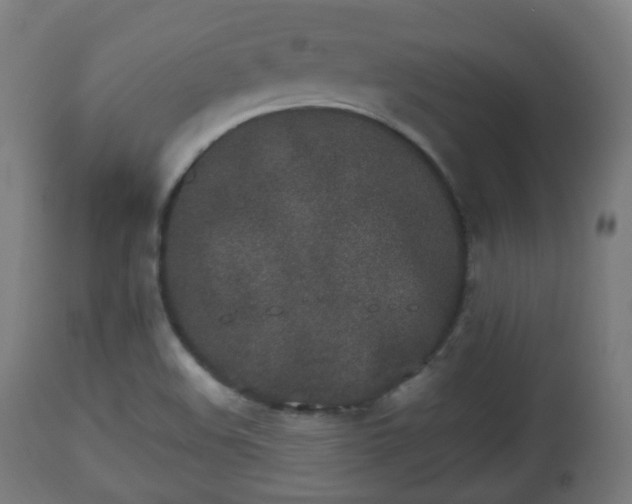 X0000112491508200908241313