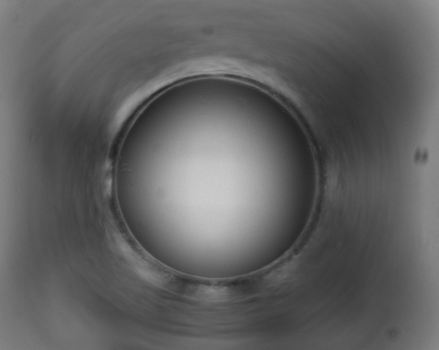 X0000112491509200908241313
