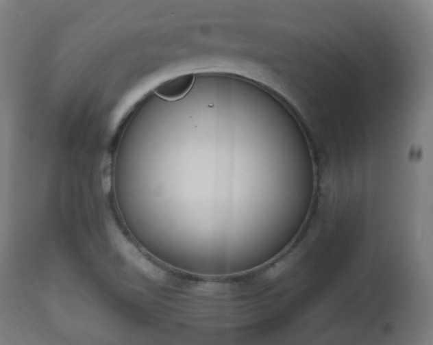 X0000112491510200908241313