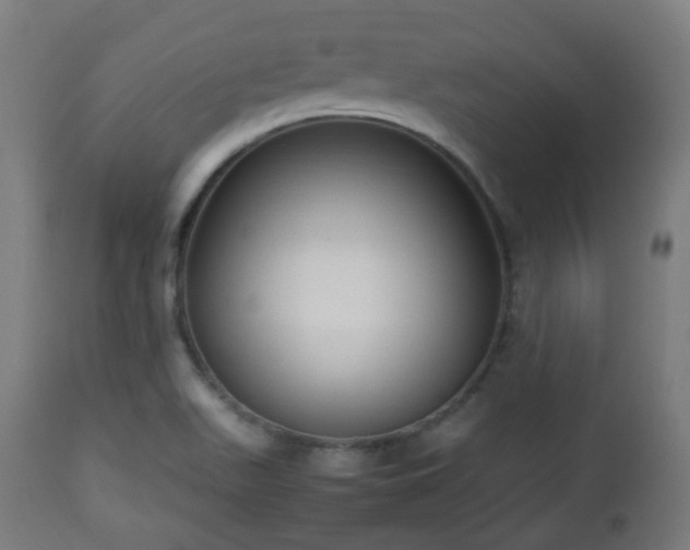 X0000112491511200908241313