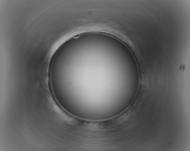 X0000112491512200908241313