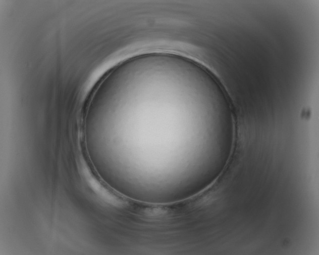 X0000112491515200908241313