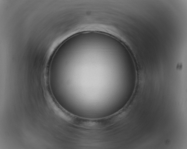 X0000112491517200908241313