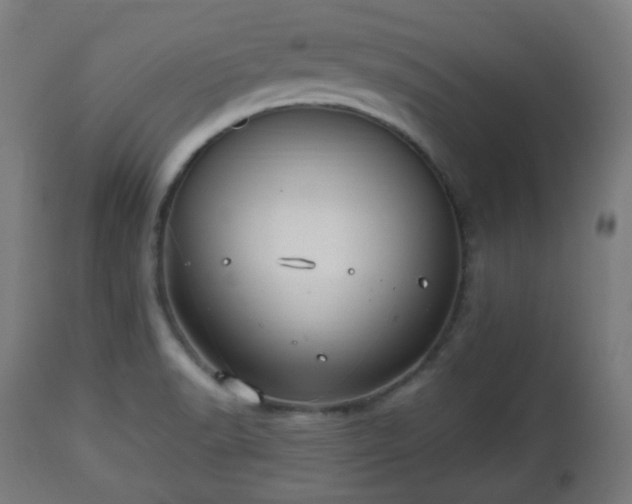 X0000112491518200908241313