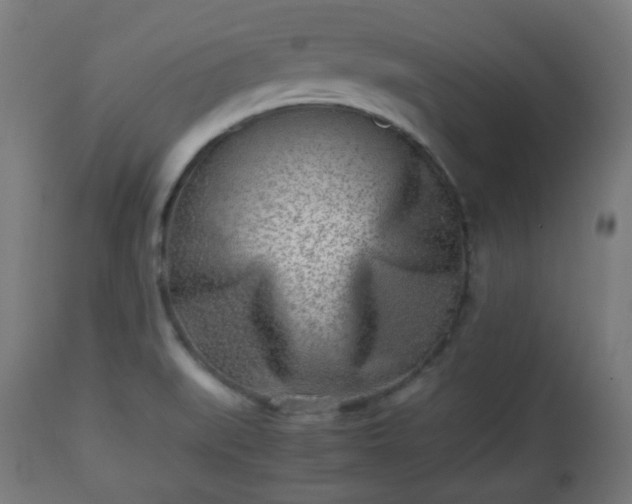 X0000112491519200908241313