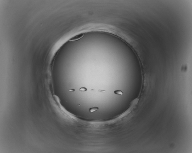 X0000112491520200908241313