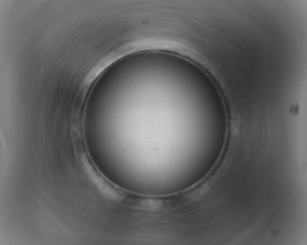 X0000112491521200908241313