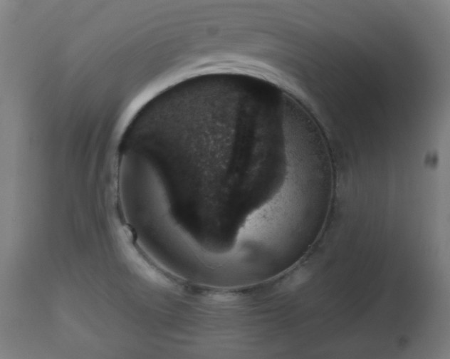 X0000112491522200908241313