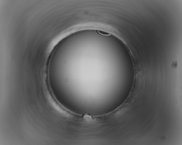 X0000112491523200908241313