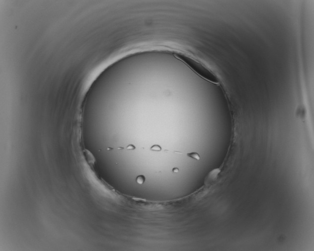 X0000112491524200908241313