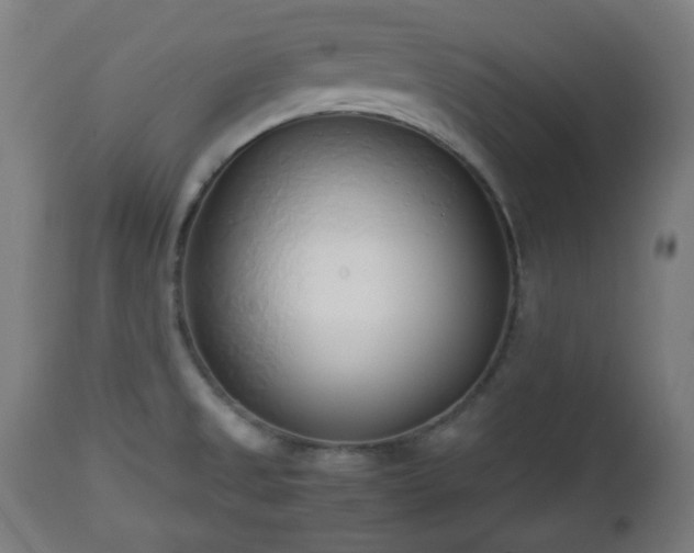 X0000112491525200908241313