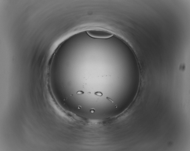 X0000112491526200908241313