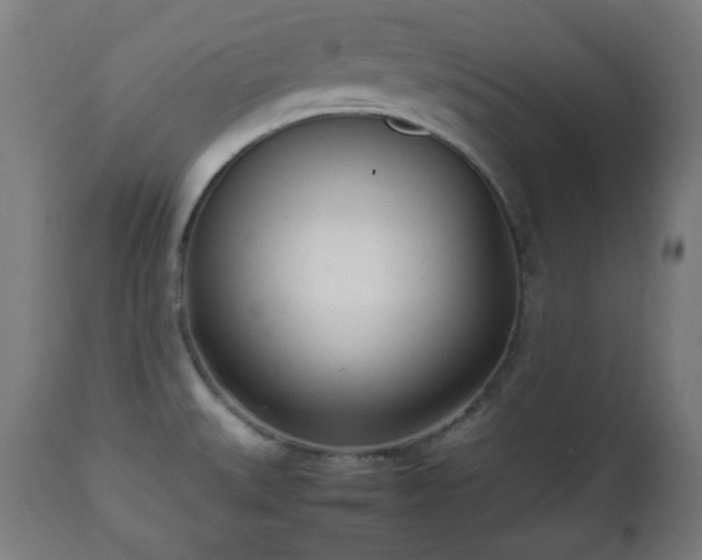 X0000112491527200908241313