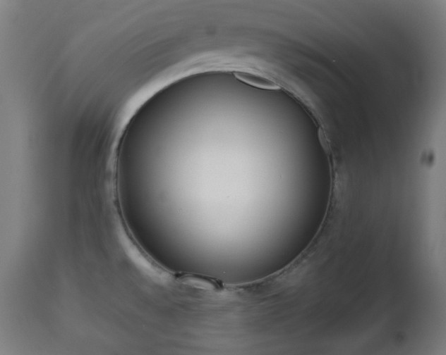 X0000112491528200908241313