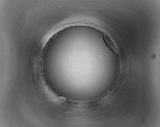 X0000112491530200908241313