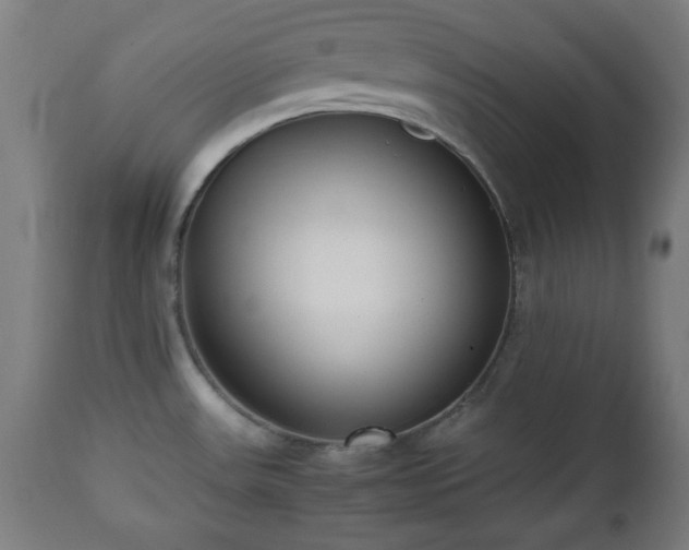 X0000112491531200908241313
