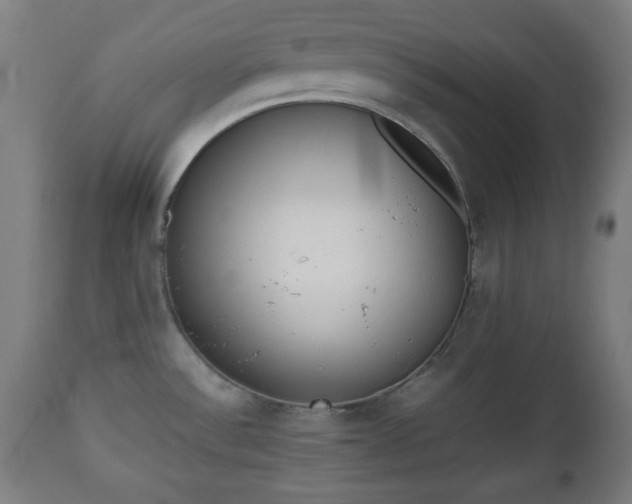 X0000112491532200908241313