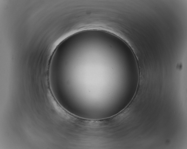 X0000112491534200908241313