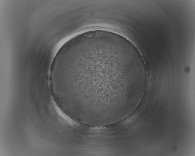 X0000112491535200908241313