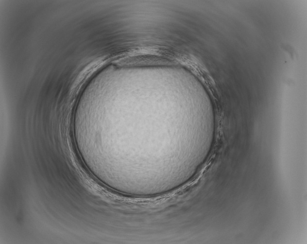 X0000112490001200908311441