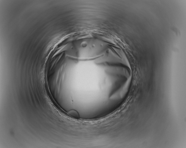 X0000112490002200908311441