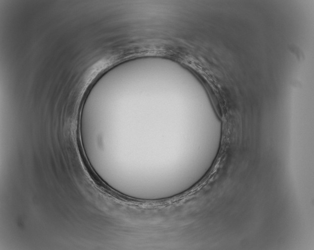 X0000112490003200908311441