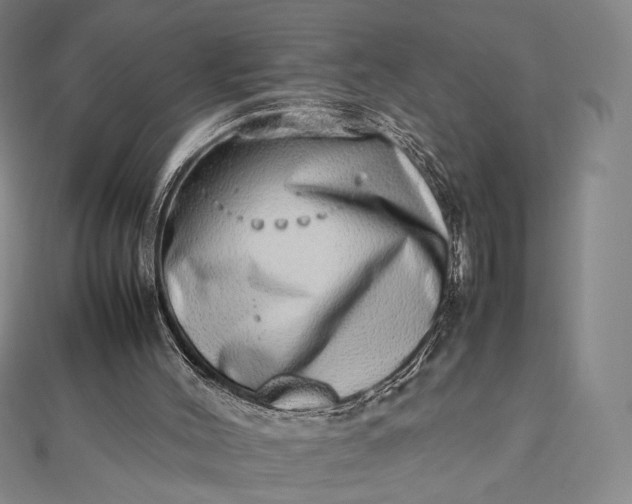 X0000112490004200908311441