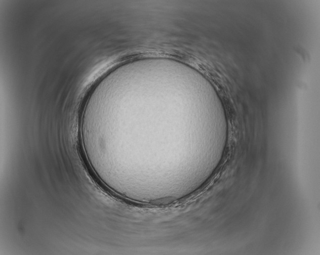 X0000112490005200908311441