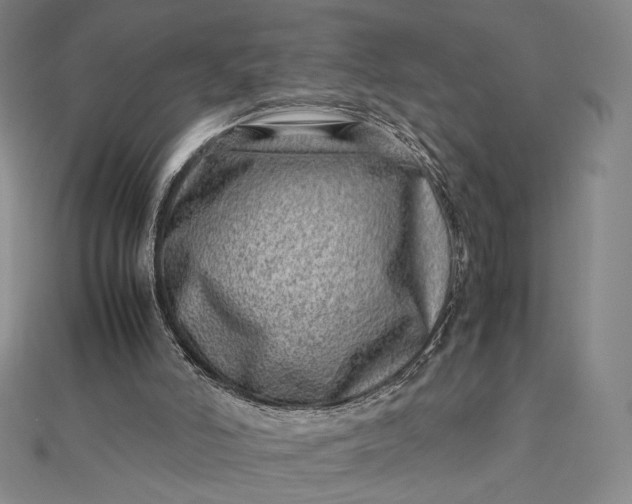 X0000112490006200908311441