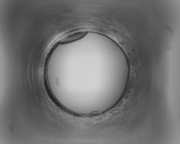 X0000112490007200908311441