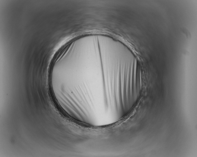 X0000112490008200908311441