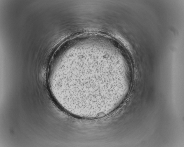 X0000112490009200908311441