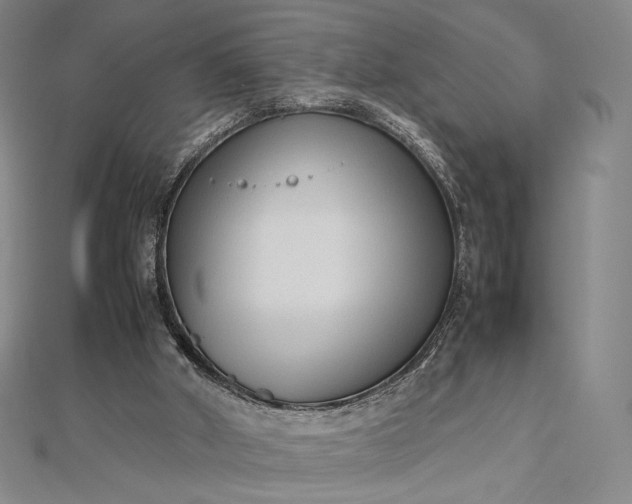 X0000112490010200908311441