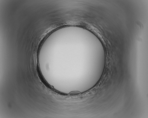 X0000112490011200908311441