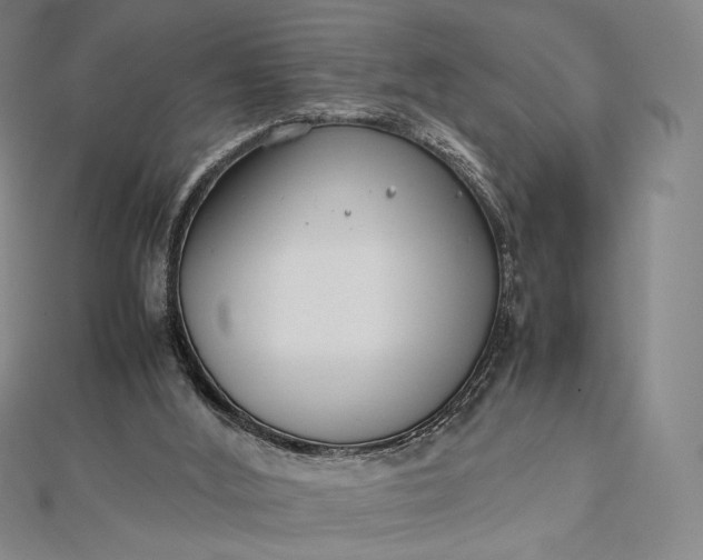 X0000112490012200908311441