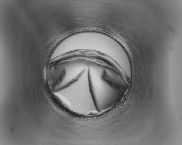 X0000112490013200908311441