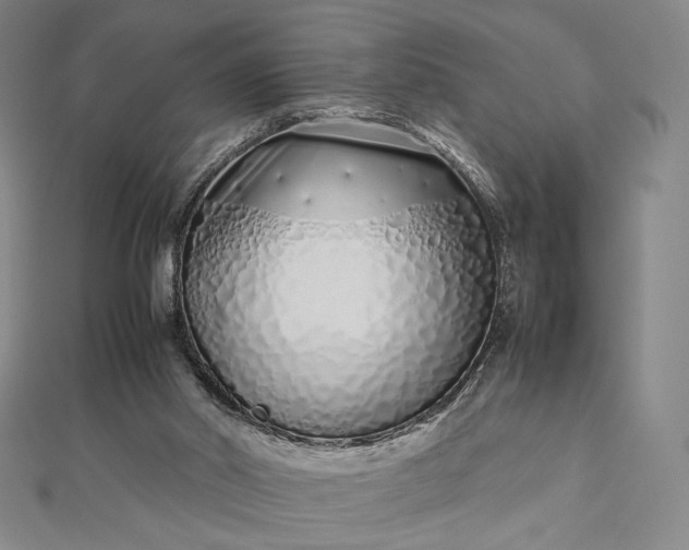 X0000112490014200908311441