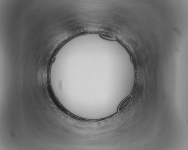 X0000112490015200908311441